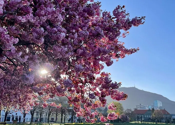 Private With A View And Garden - 12 Min From The Center * Μπέργκεν